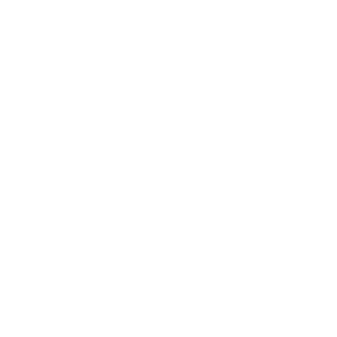 Pulpo logo